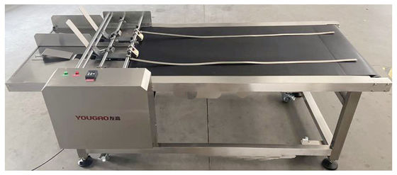 Inkjet-Codierung Automatische Paging-Maschine mit erweiterter Platte Übereinstimmung mit Inkjet-Drucker