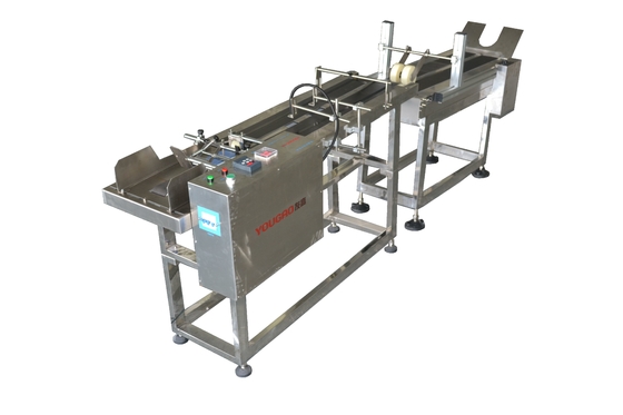 180 Watt-Variable Frequency Card Coding Feeder-Maschine