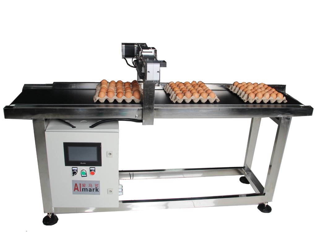 E5 400W X Traverse-System Ei-Codierung Fördermaschine für Datum-Codierung